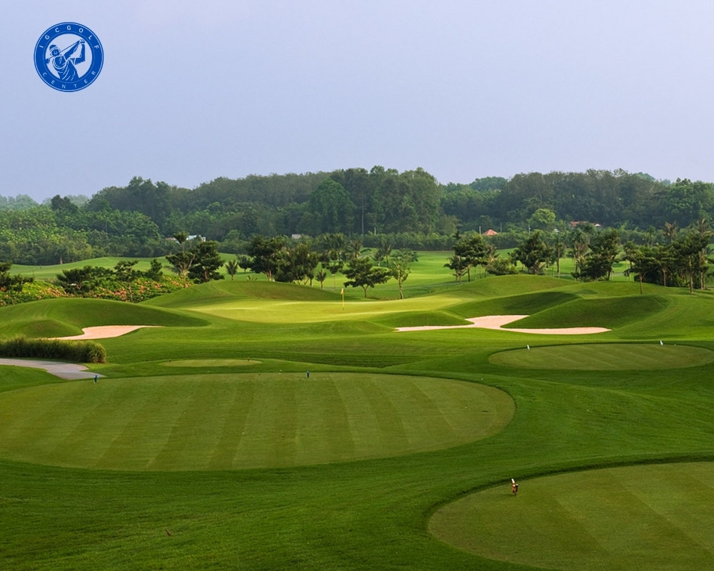 Chơi Golf tại sân Golf Paradise