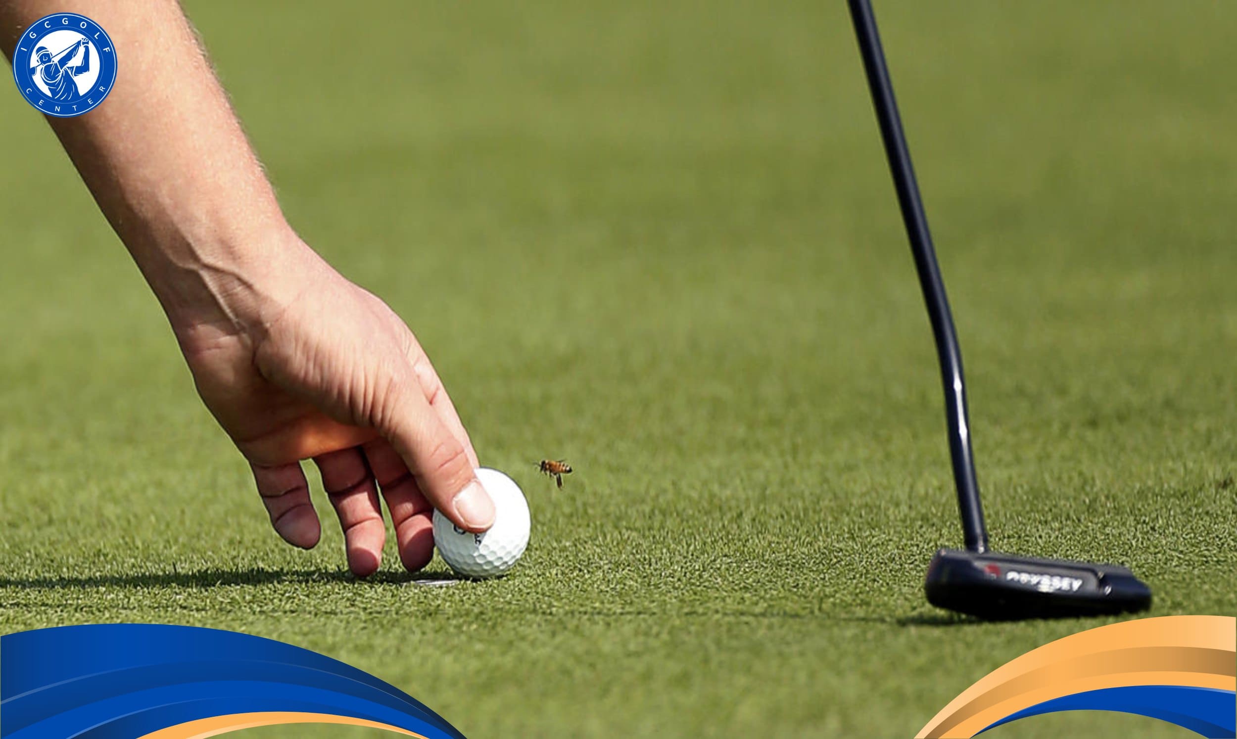Hole in one nghĩa là gì trong golf?
